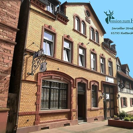 Hotel-Pension Zum Hirsch Hattersheim am Main Buitenkant foto